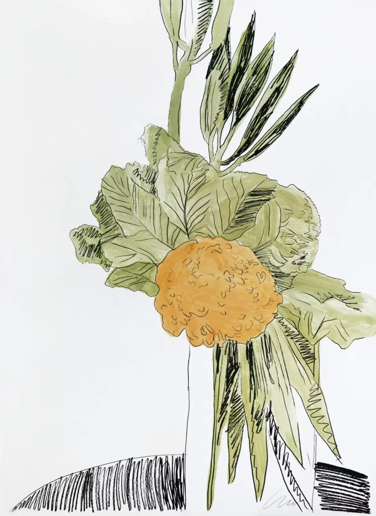 Andy Warhol, Flowers (F. & S. II.110), 1974