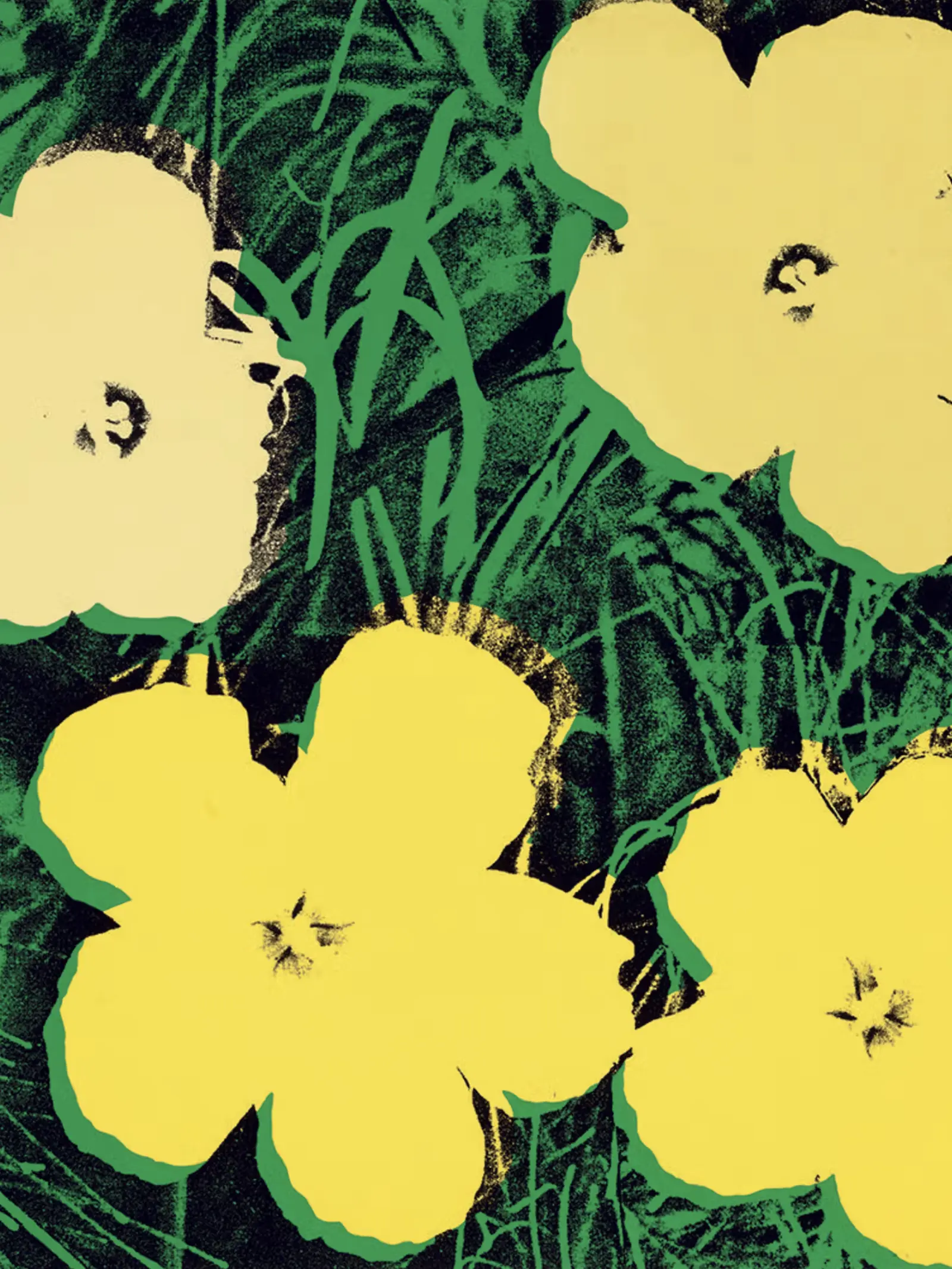 Andy Warhol’s Flowers: How the Humble Hibiscus Became a Pop Icon