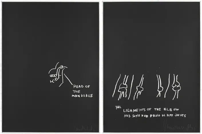Head of Mandible and Ligaments of the Elbow from Anatomy by Jean-Michel Basquiat, 1982.