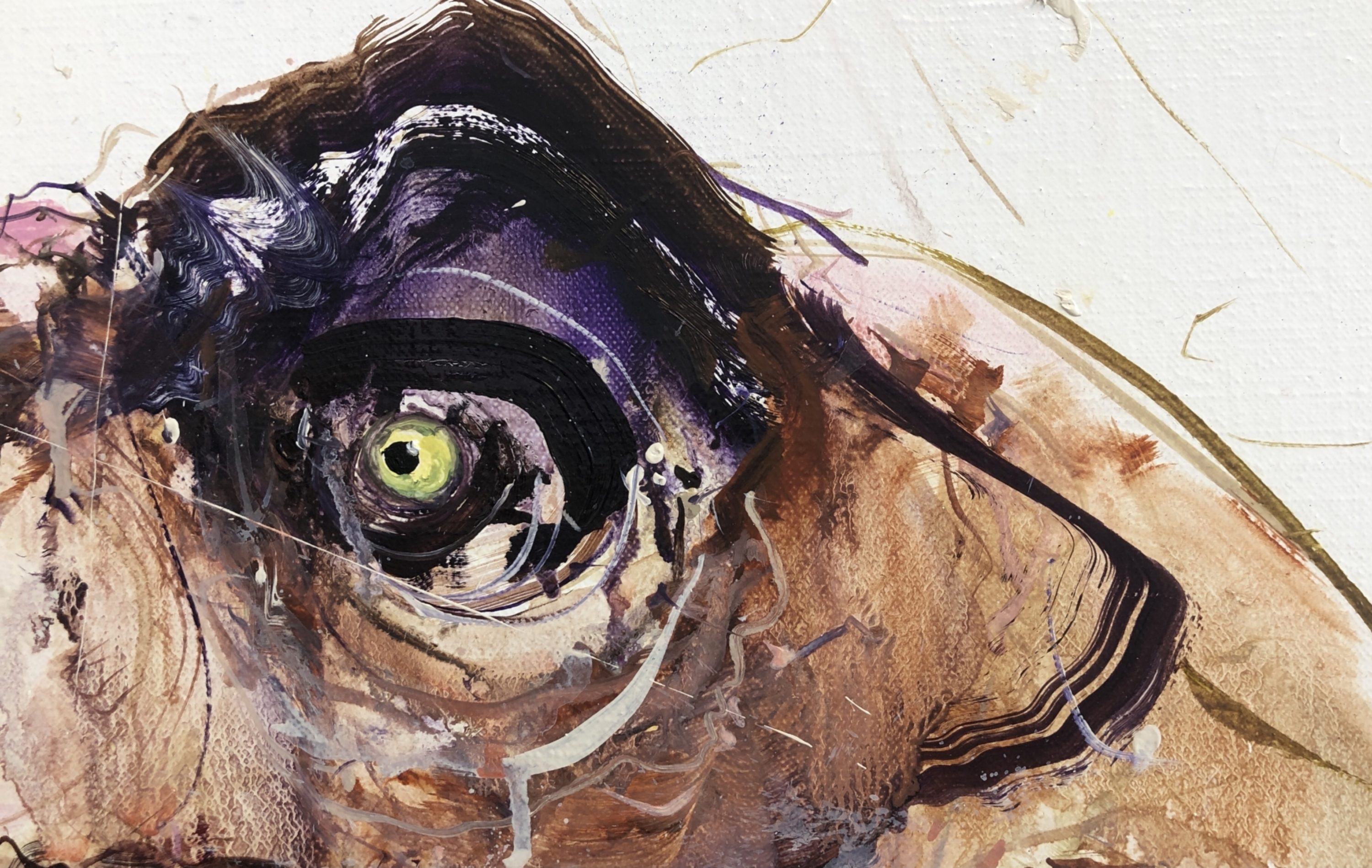 Detail of Tyrannosaurus Rex V