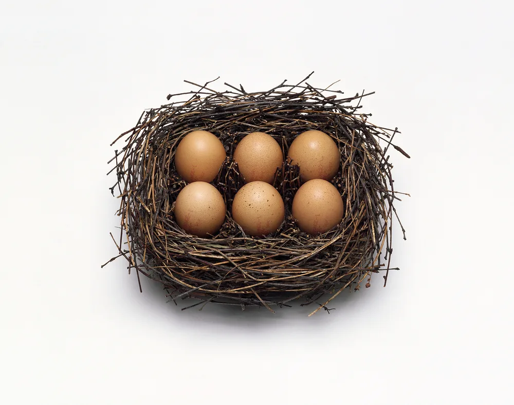 Egg Box