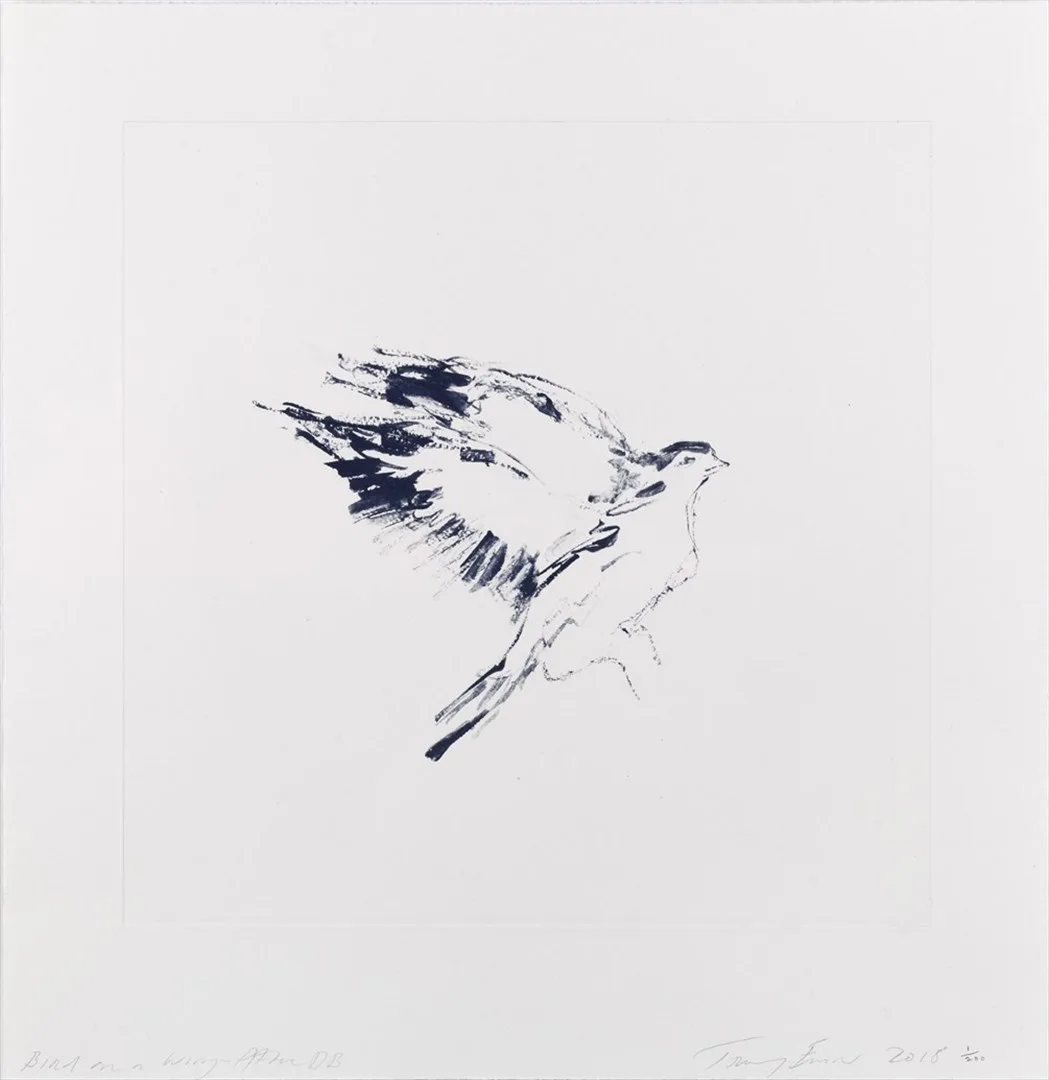 Bird on a Wing After DB