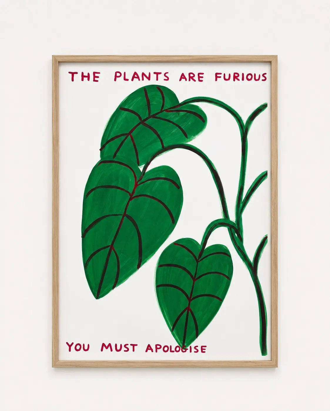 The Plants are Furious