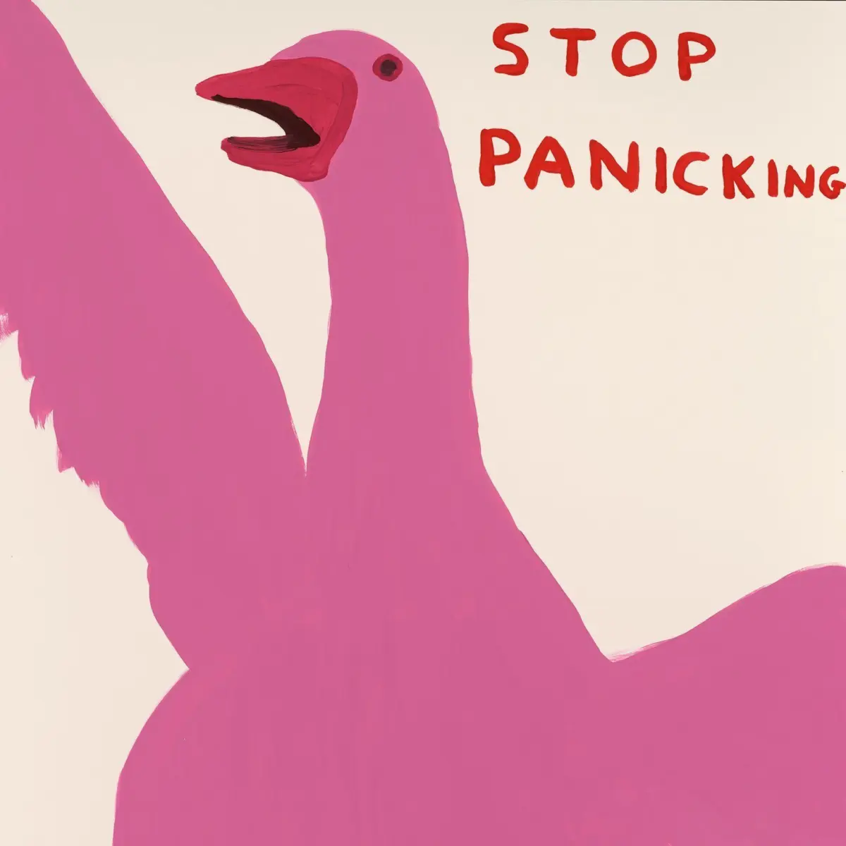 David Shrigley