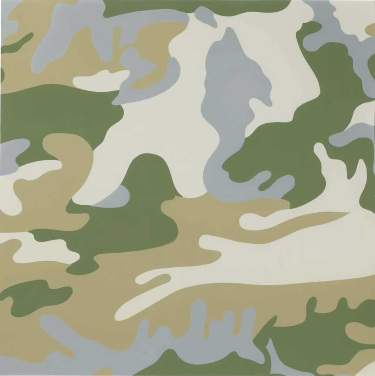 Camouflage (F. & S. II. 407)