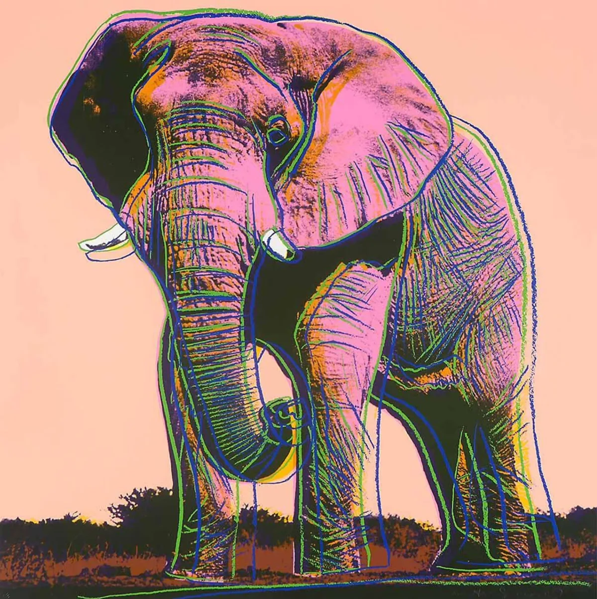 African Elephant (F. & S. II. 293)