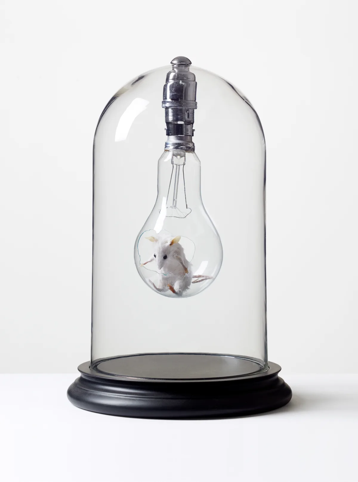 Mouse in Lightbulb