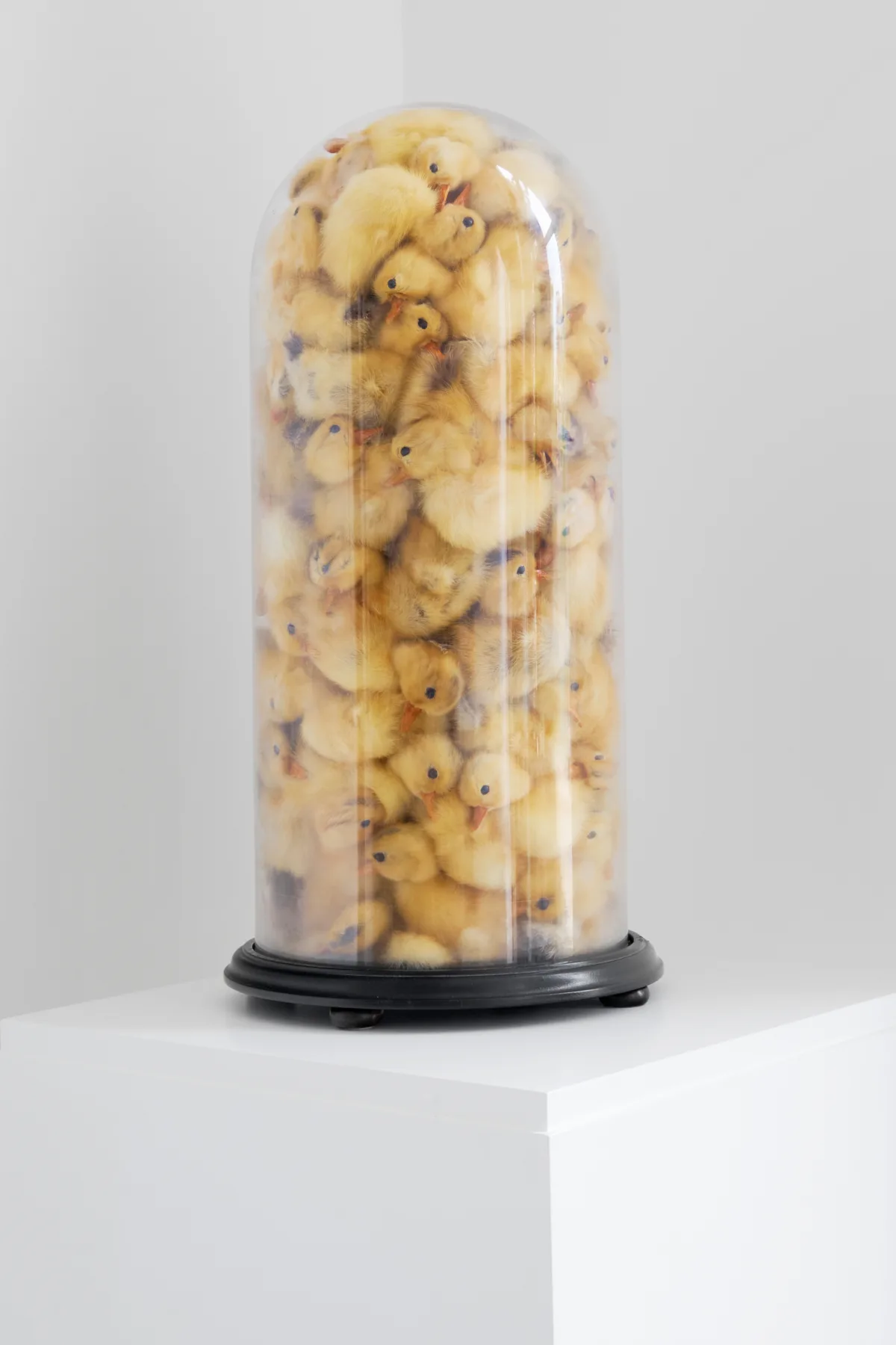 Ducklings in Glass Dome (Large)