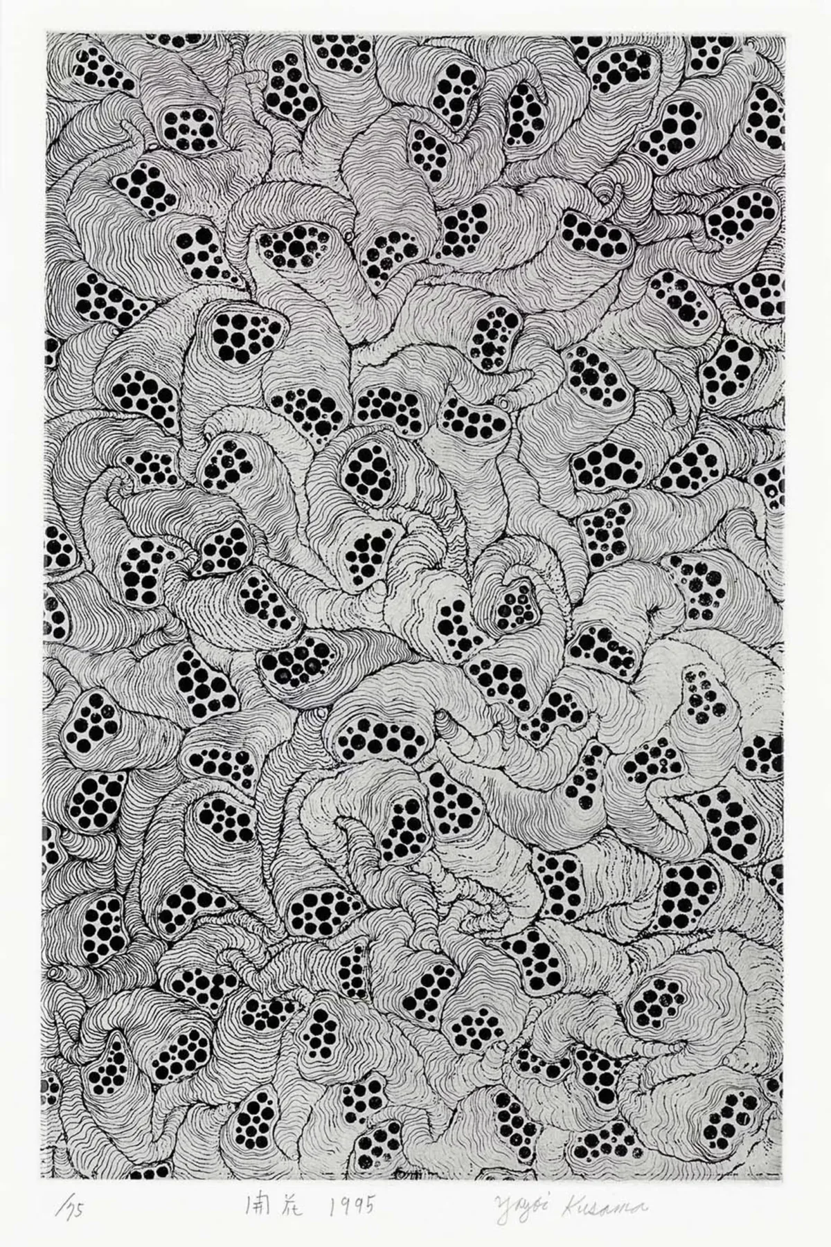 Bloom