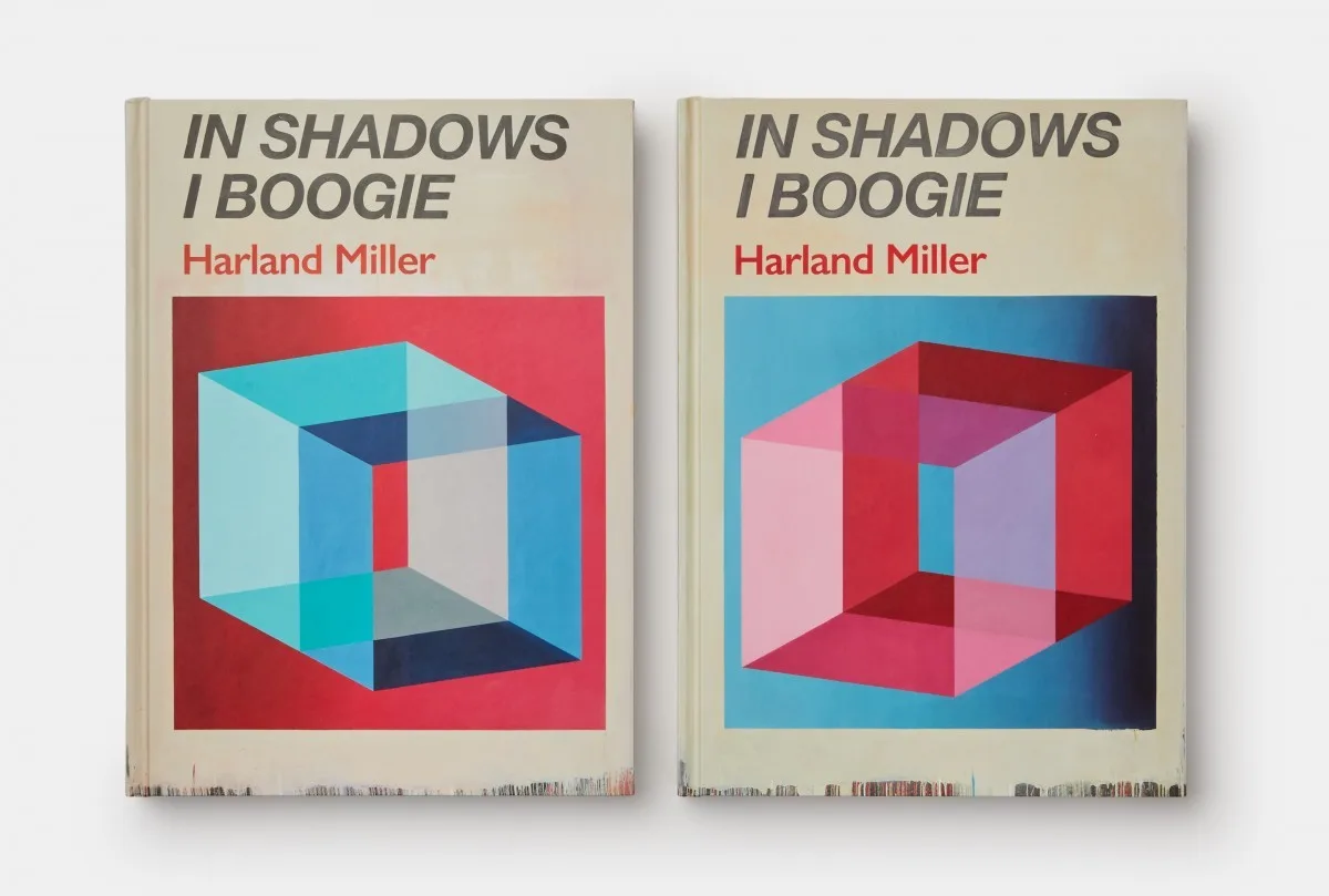 In Shadows I Boogie (Blue &amp; Red) - Box Print, set of two