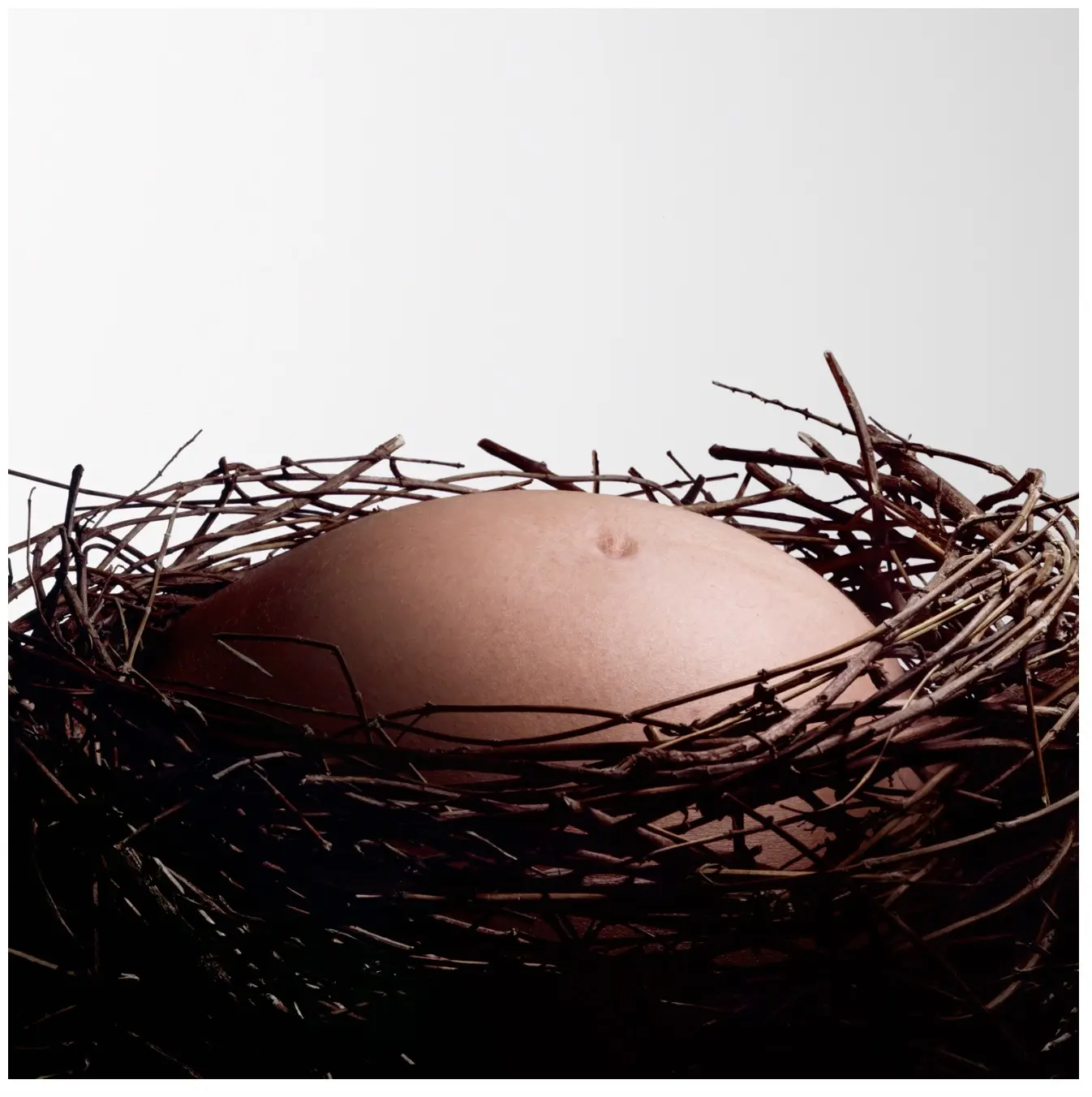 Baby Nest by Nancy Fouts, 2010, giclée print on paper.