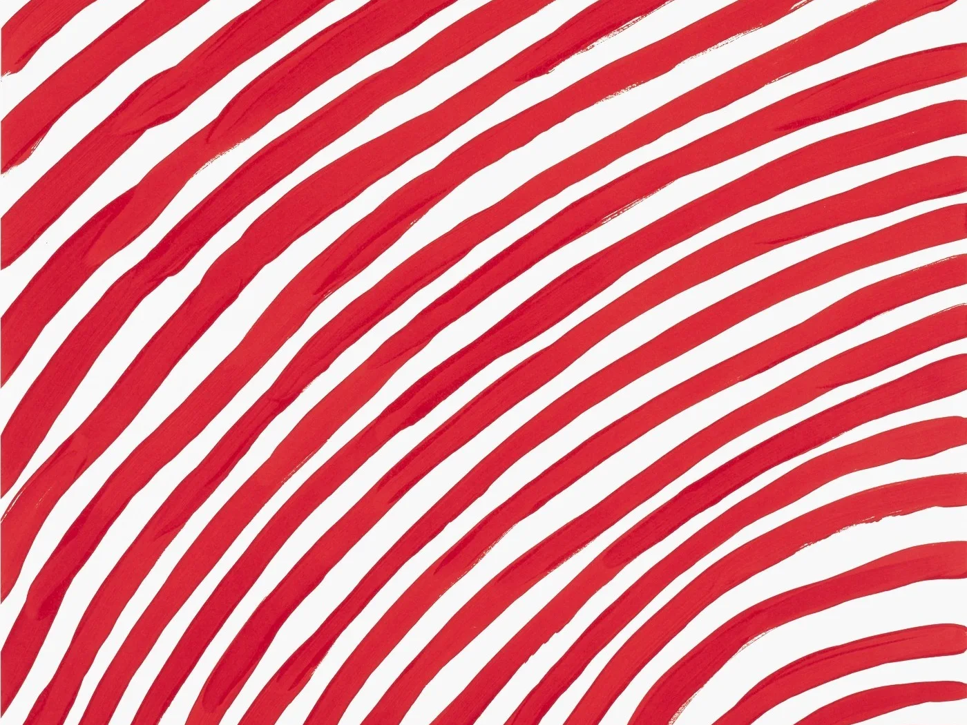 Decoded: David Shrigley