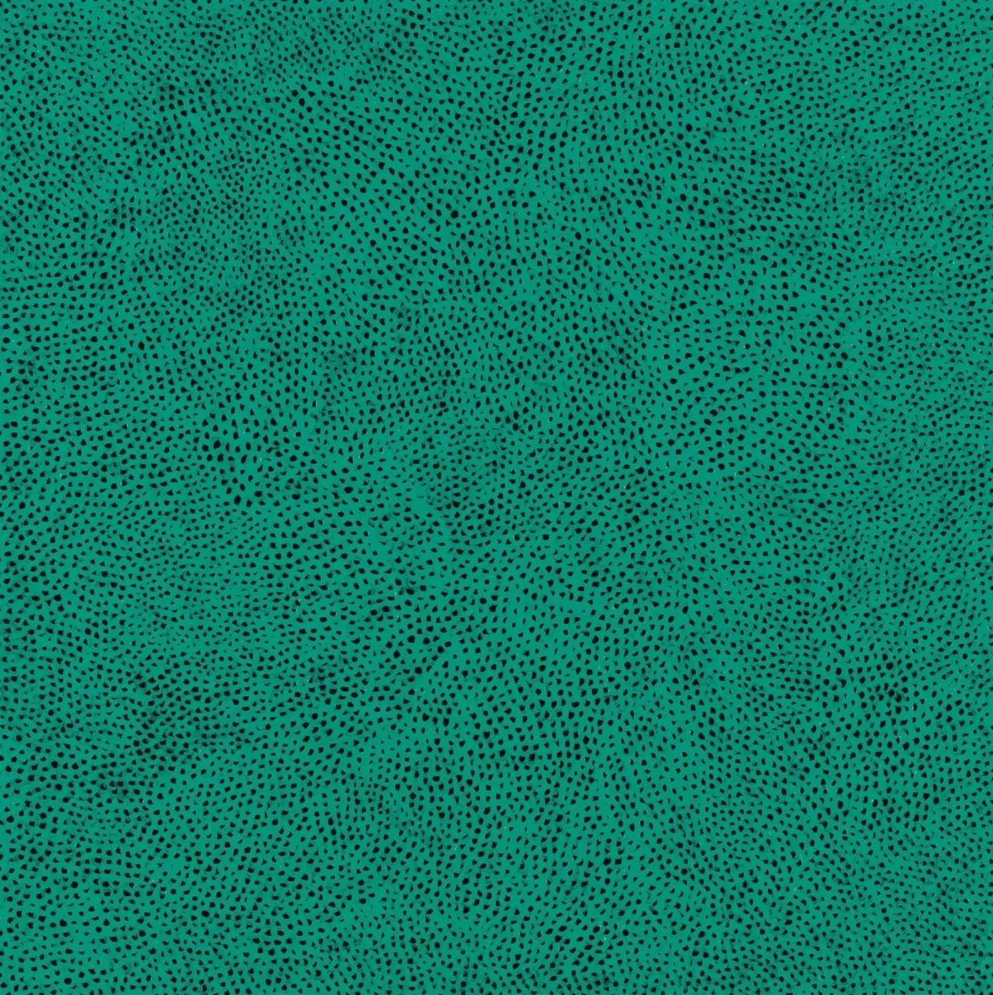 Yayoi Kusama, Infinity Nets