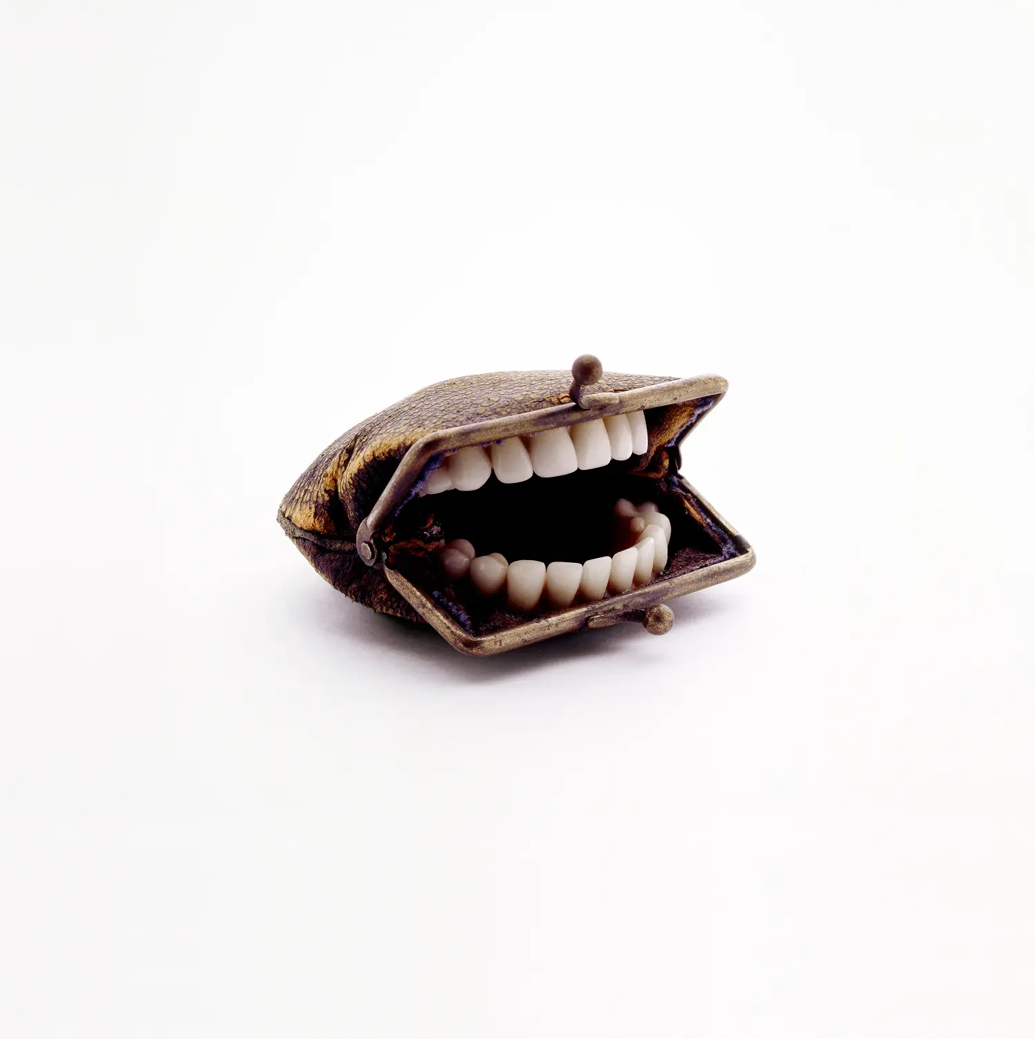 Purse With Teeth, original, 2010