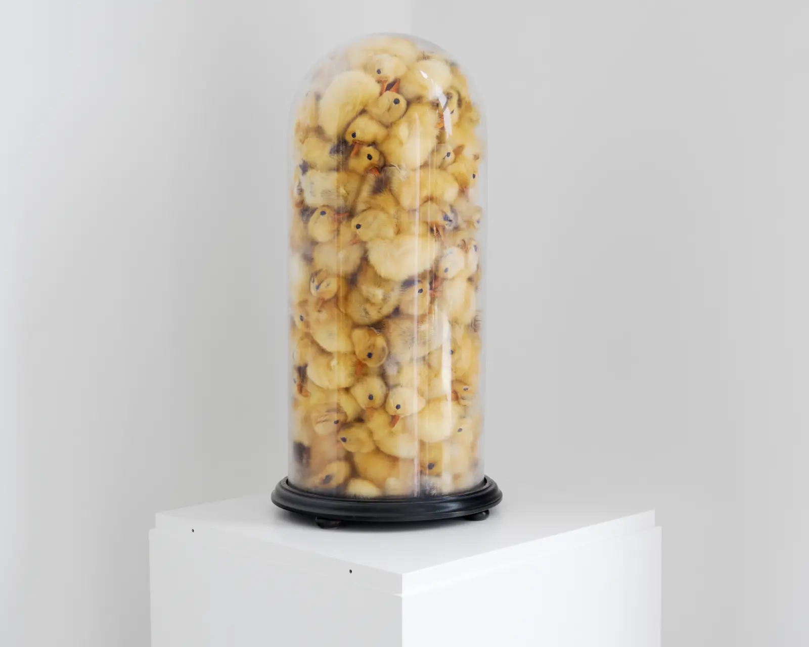 Hang-Up Curates Vol. IV
