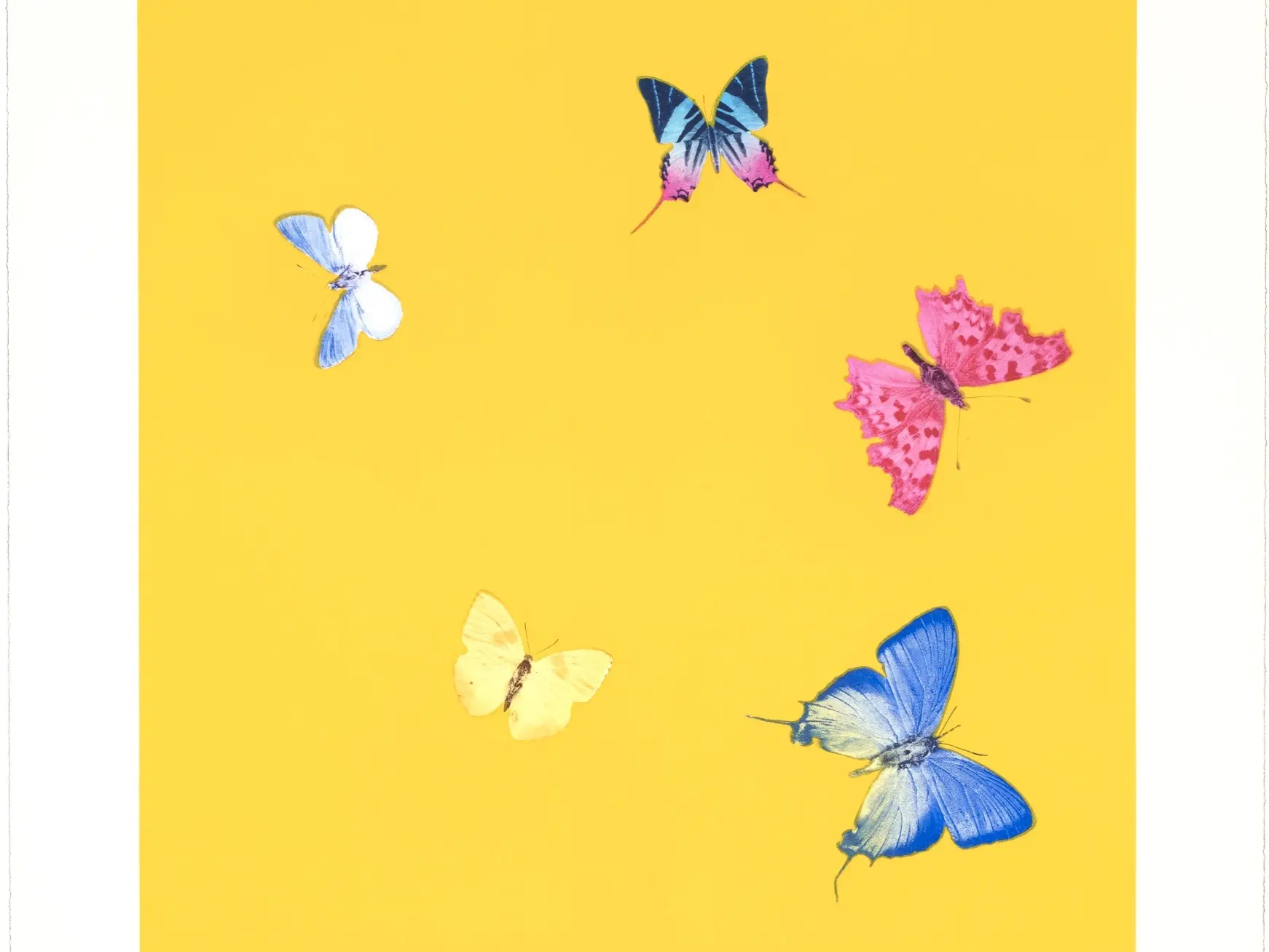 Damien Hirst: The importance of the 'Butterfly'
