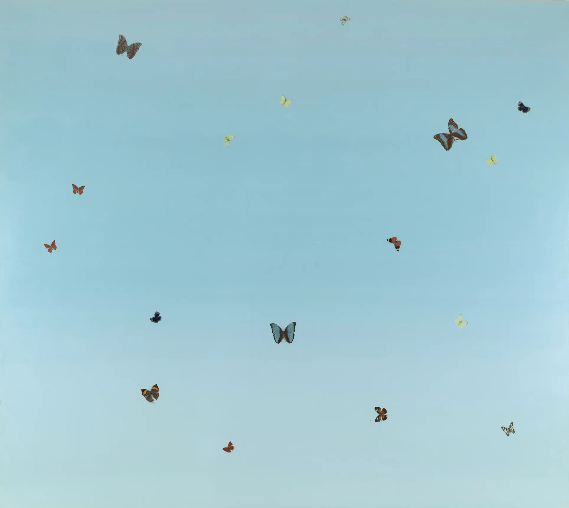 Damien Hirst