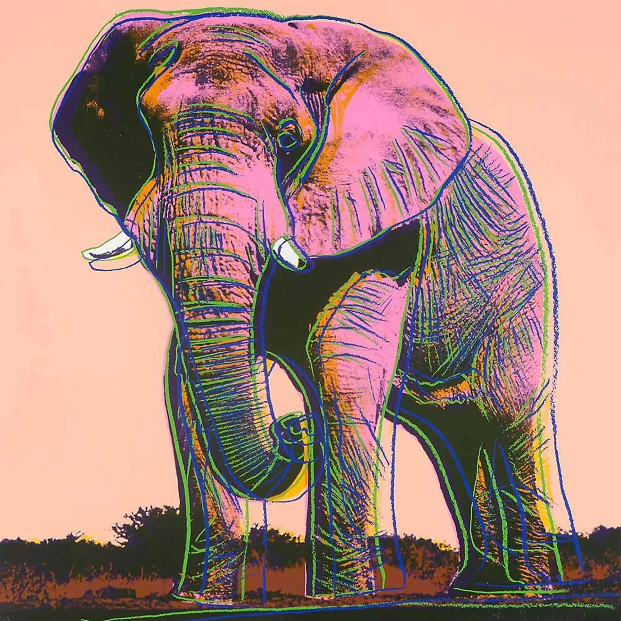 Andy Warhol
