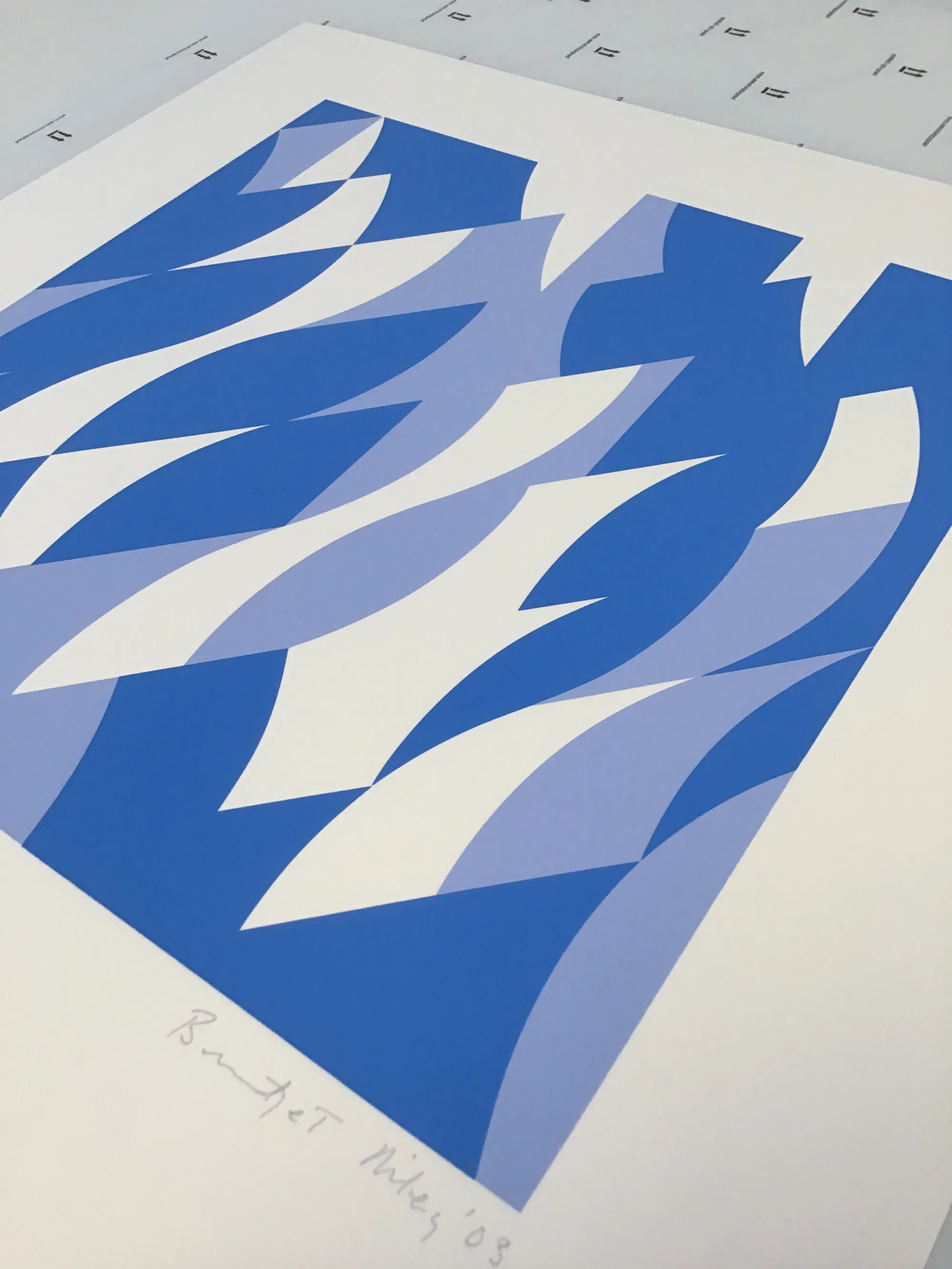 Two Blues by Bridget Riley