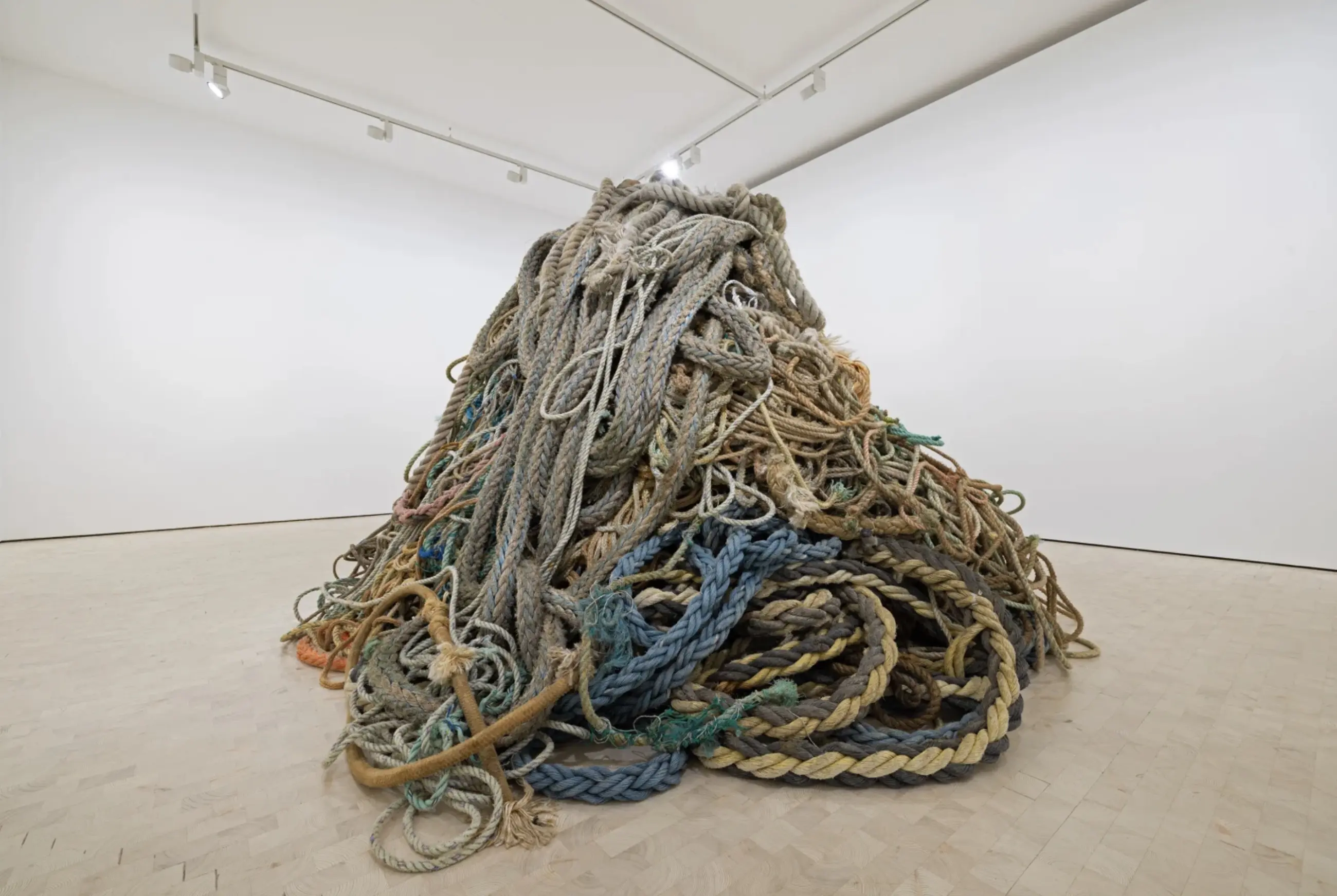 David Shrigley: Exhibition of Old Rope | Stephen Friedman Gallery, London
