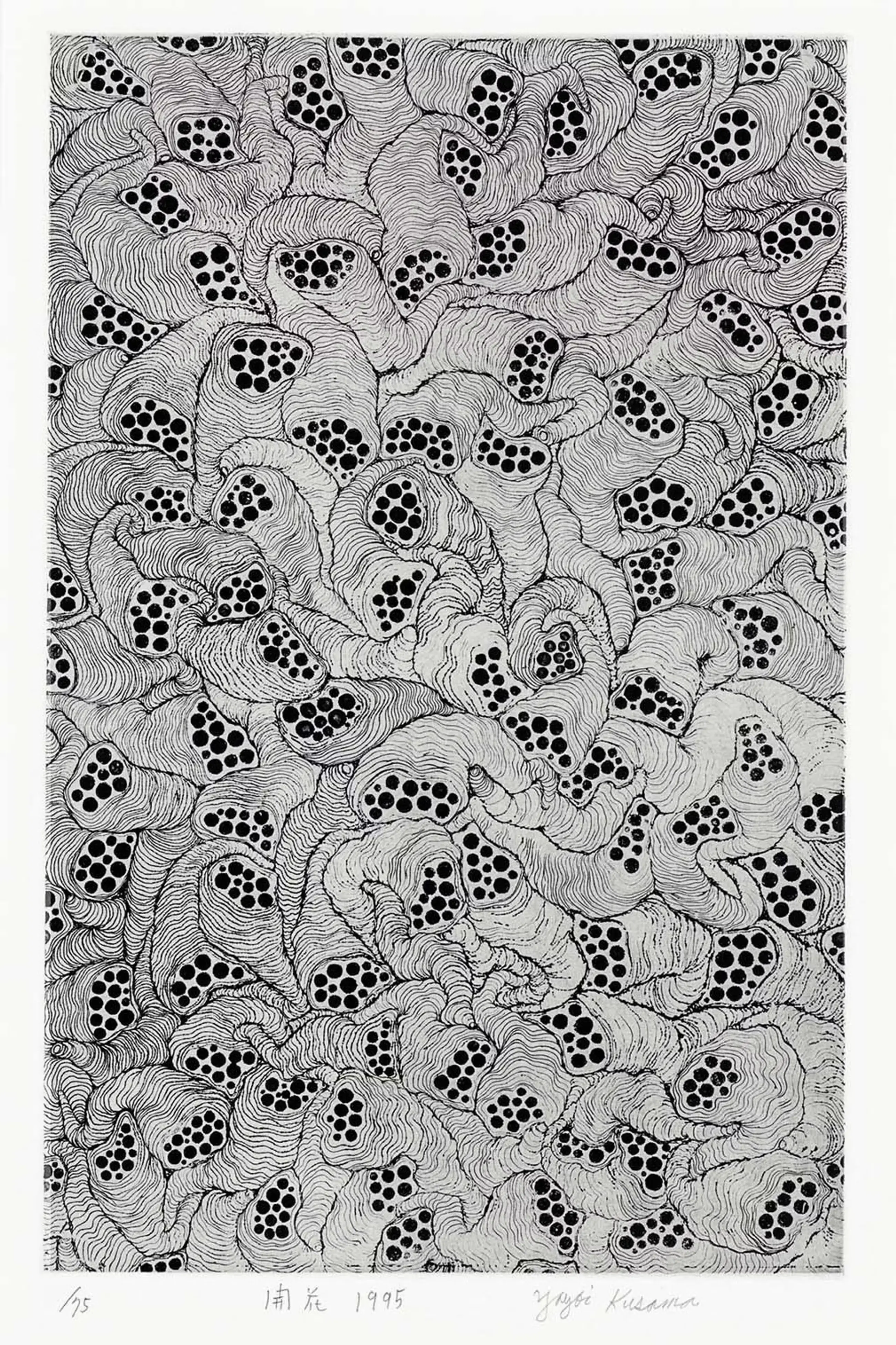 Bloom