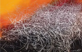 Seeing in Phosphene image 1