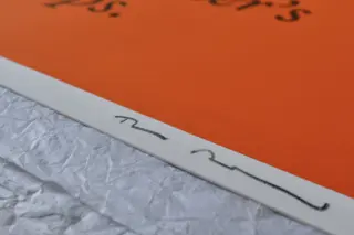 HIPS image 3
