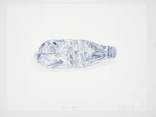 Lying Bottle image 1