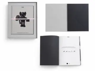 KAWS - NGV Companionship in the Age of Loneliness… | Hang-Up Gallery
