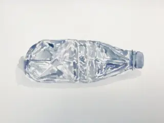 Lying Bottle image 3