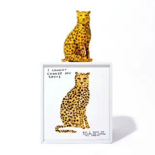 I Cannot Change My Spots But I Have No Desire To Change My Spots image 3