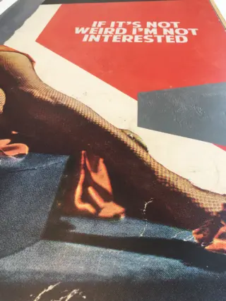 If It's Not Weird I'm Not Interested image 5