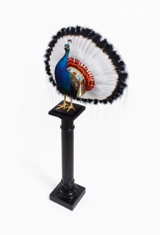 Peacock War Bonnet image 1