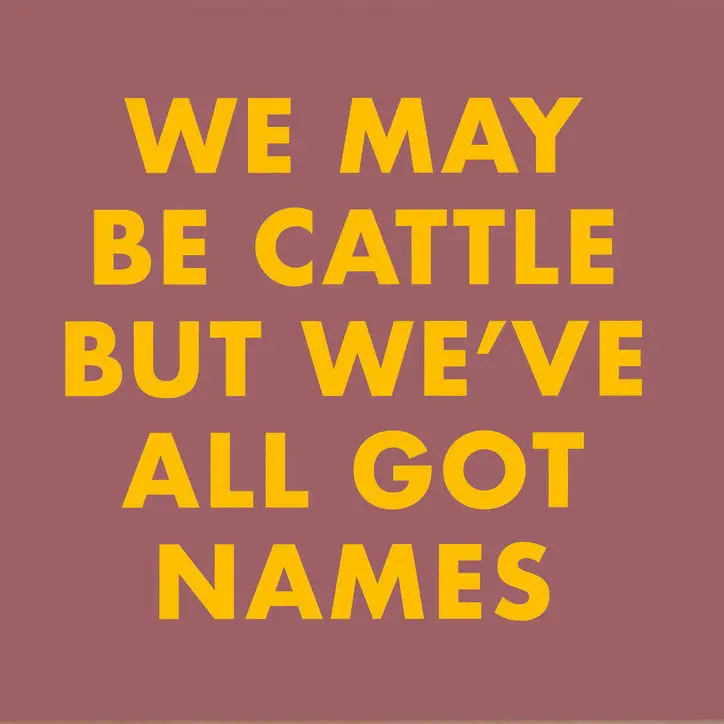 WE MAY BE CATTLE BUT WE'VE ALL GOT NAMES