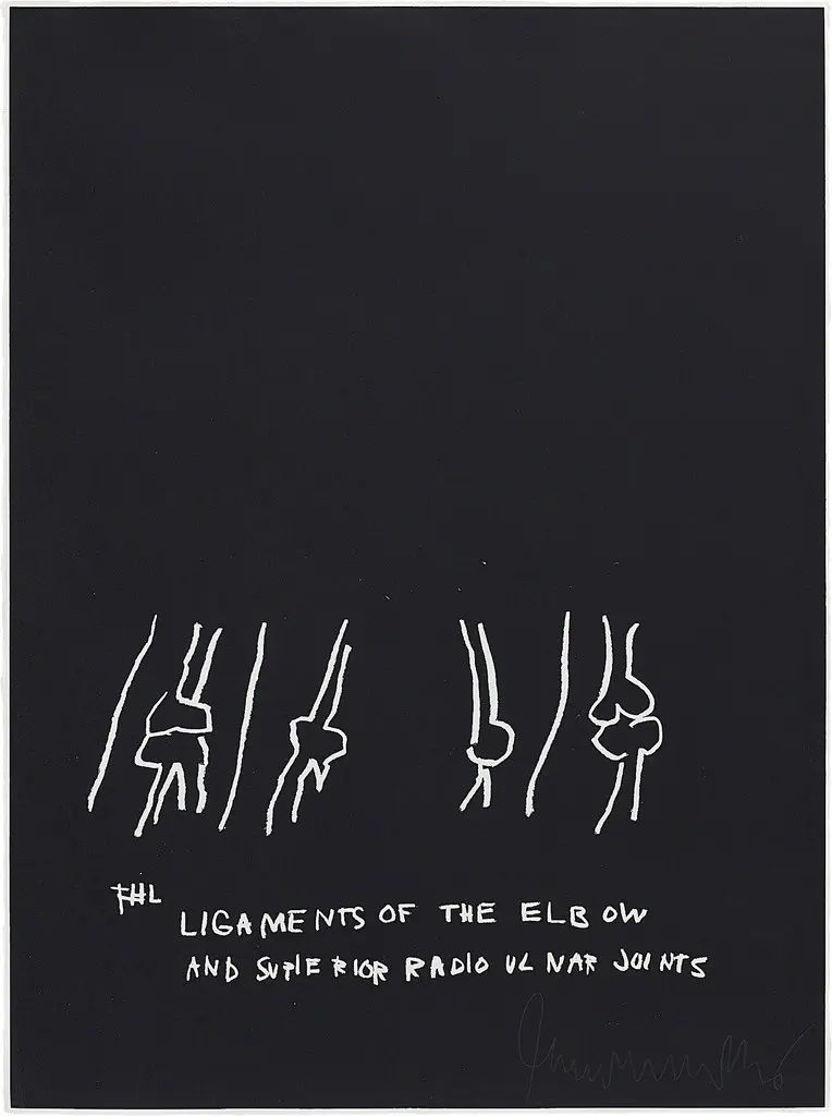 Ligaments of the Elbow, from Anatomy