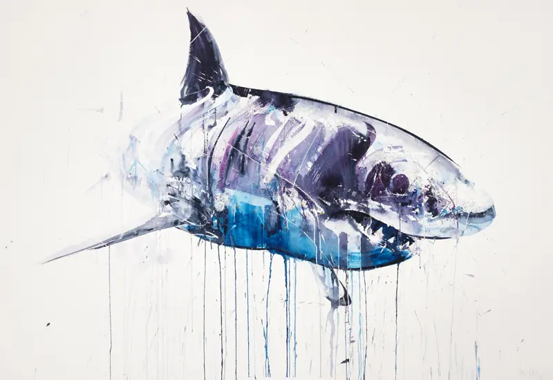 Dave White - Great White Shark II