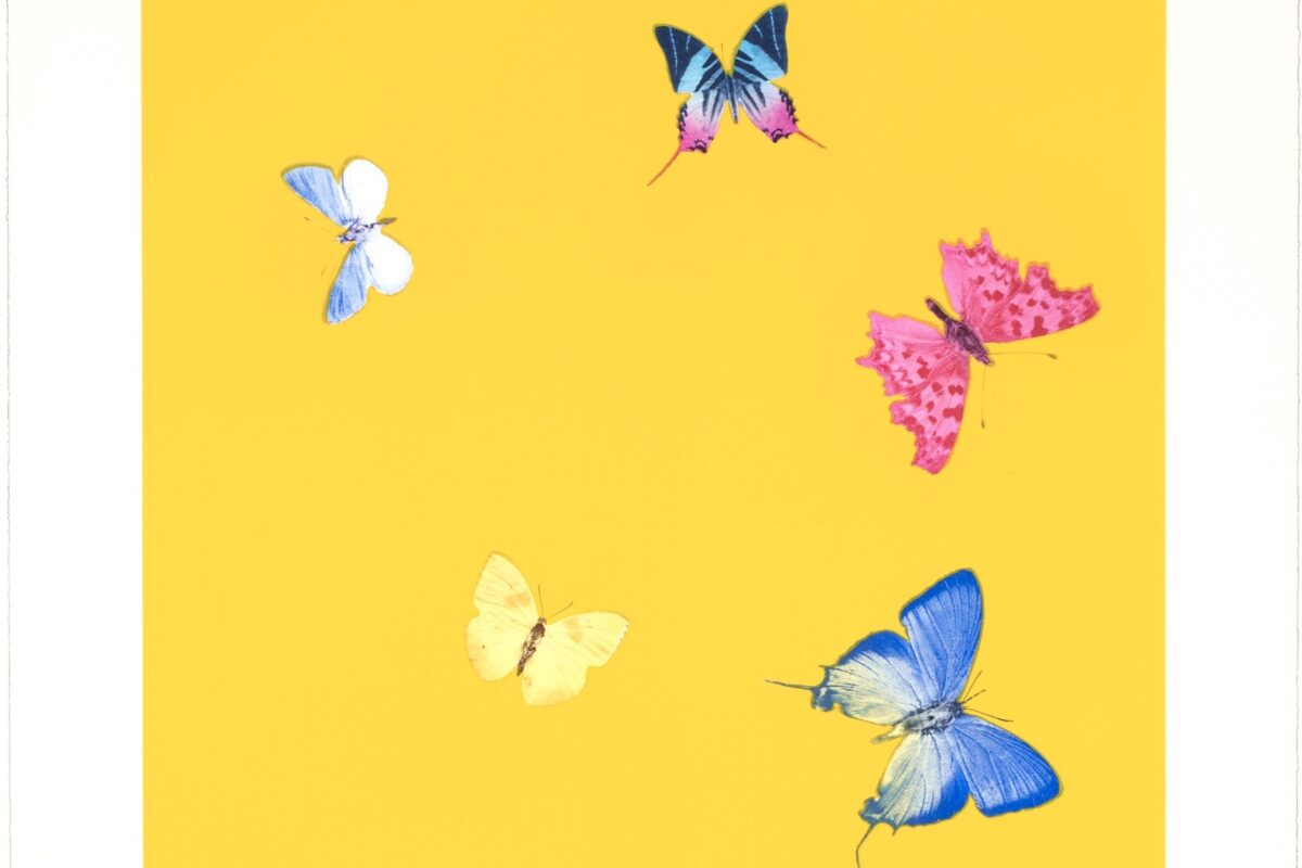 Damien Hirst: The importance of the 'Butterfly'