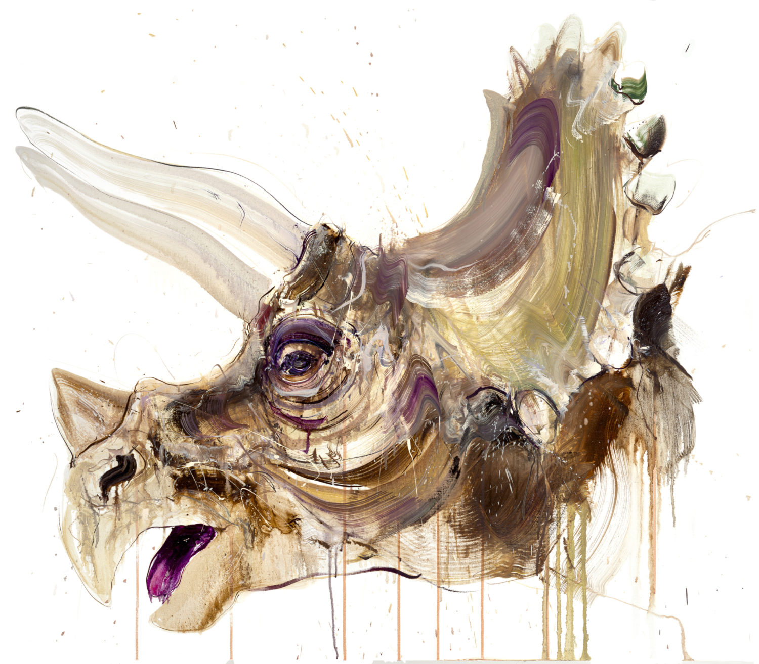 Triceratops II