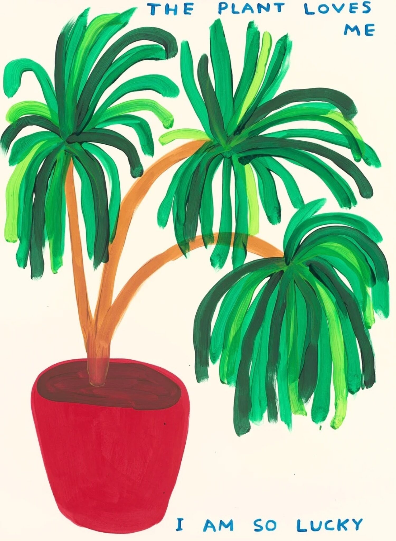 The Plant Loves Me