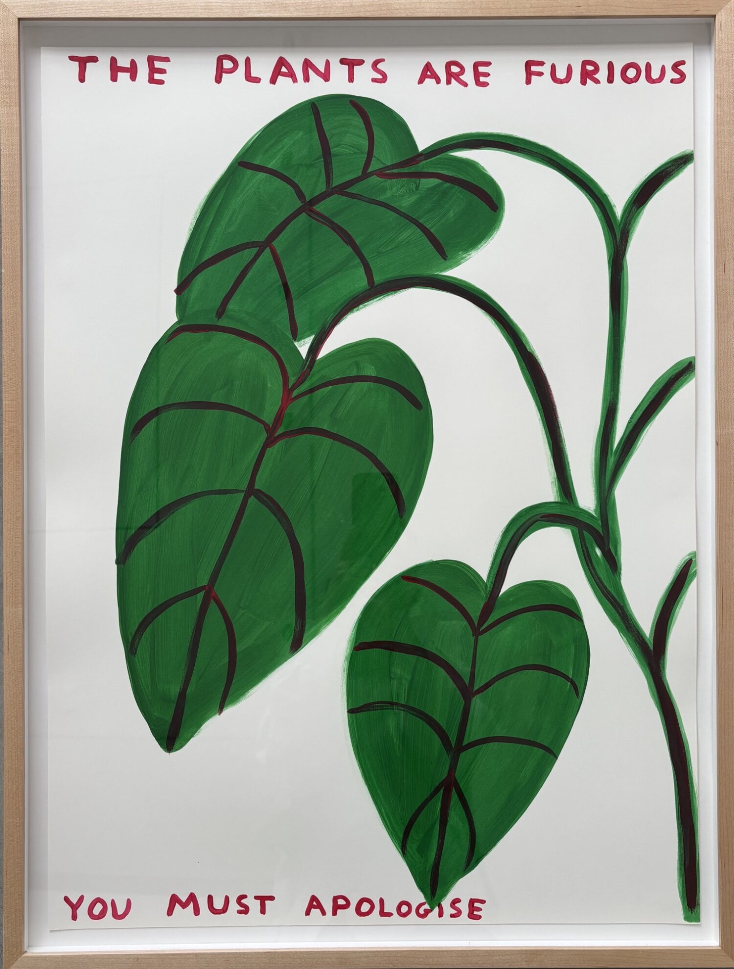 The Plants are Furious