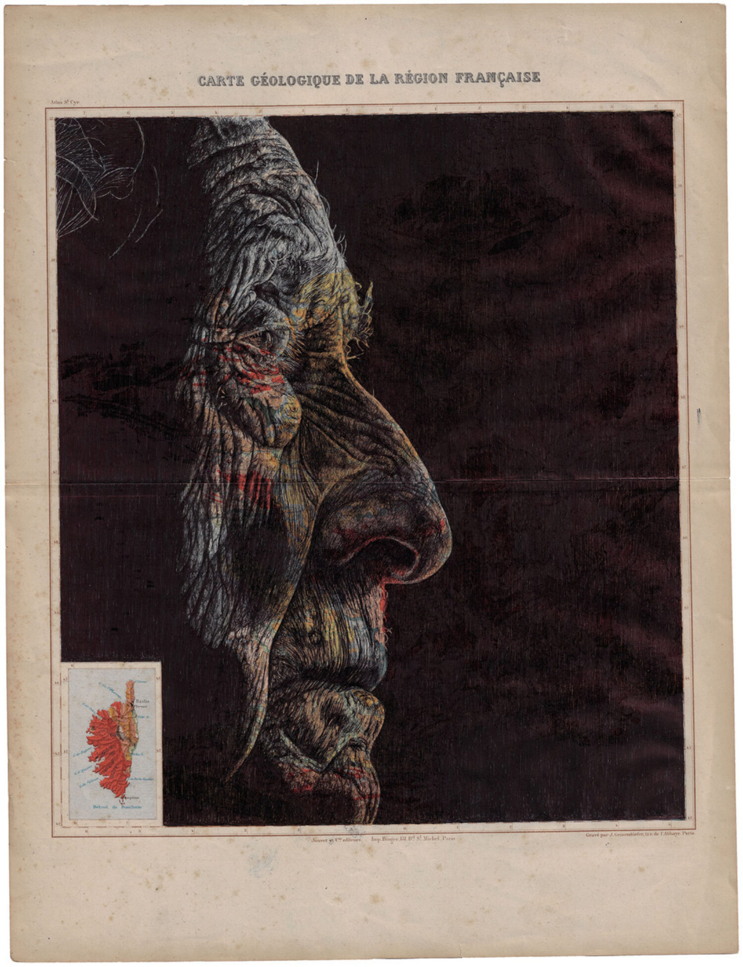 Deckchairs in the Shade