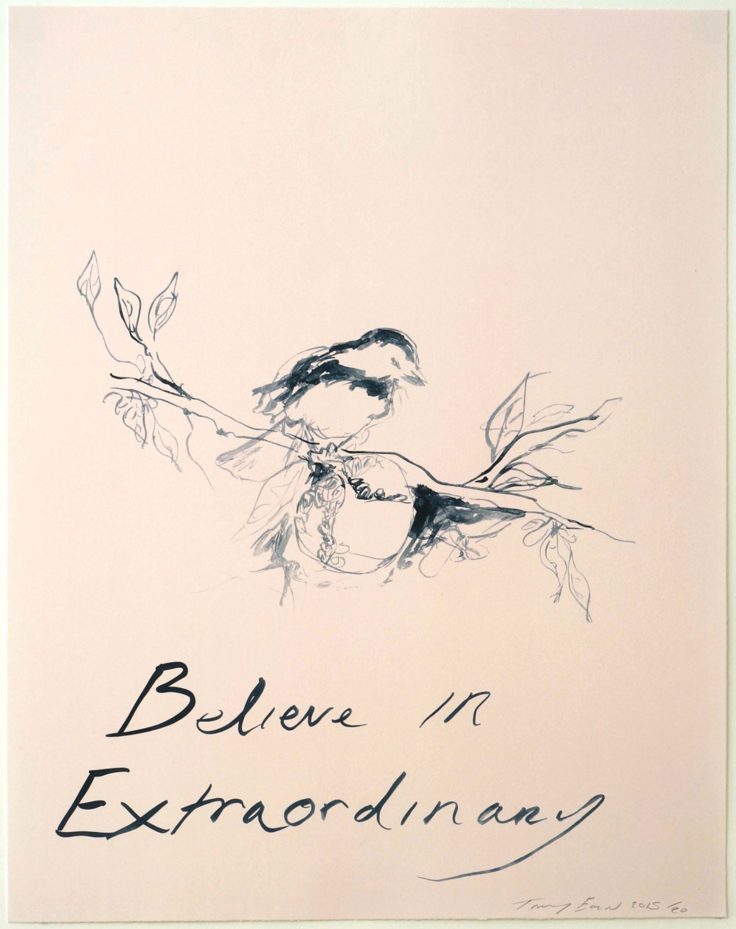 Believe in Extraordinary