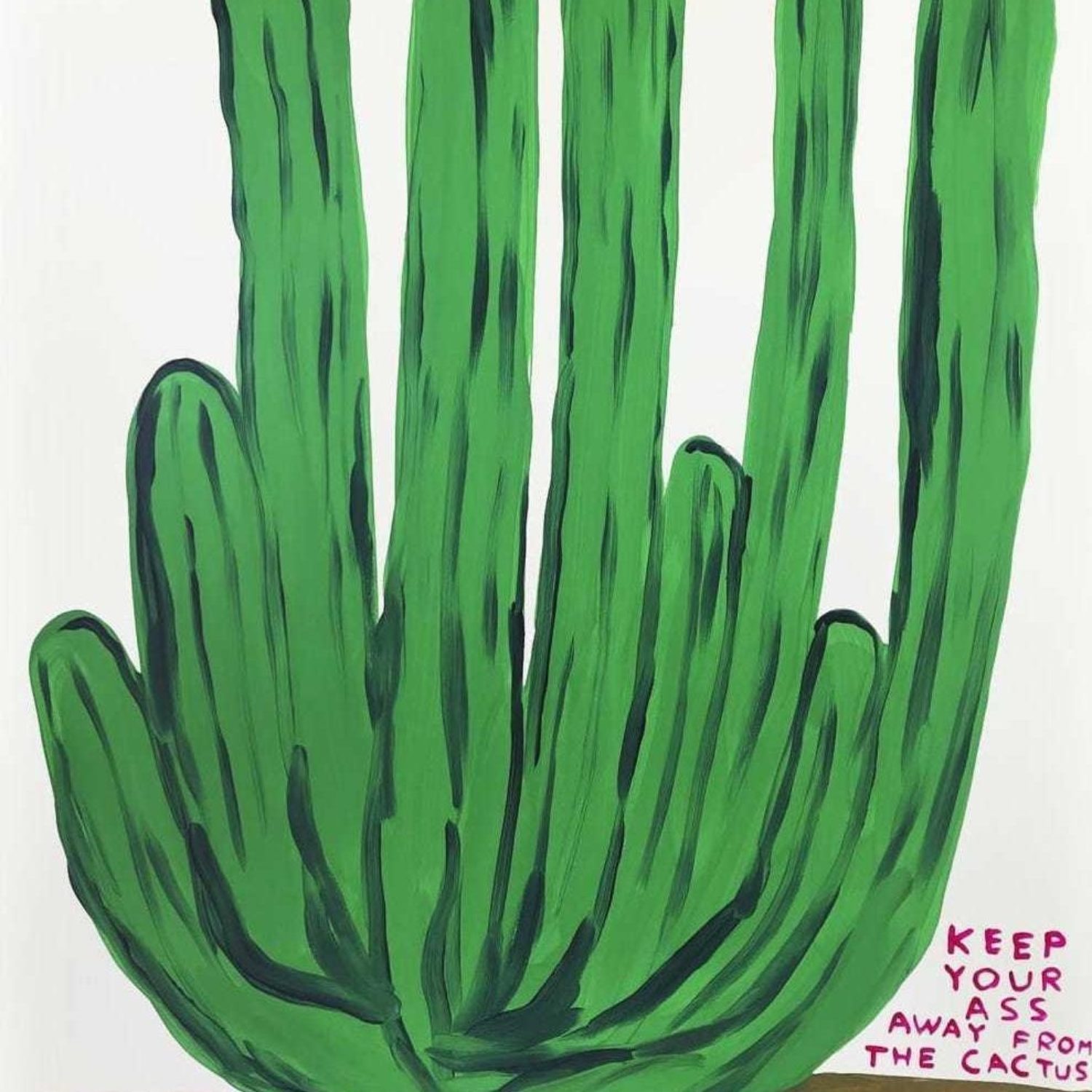 David Shrigley