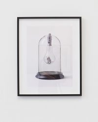 Mouse in Lightbulb