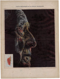 Deckchairs in the Shade