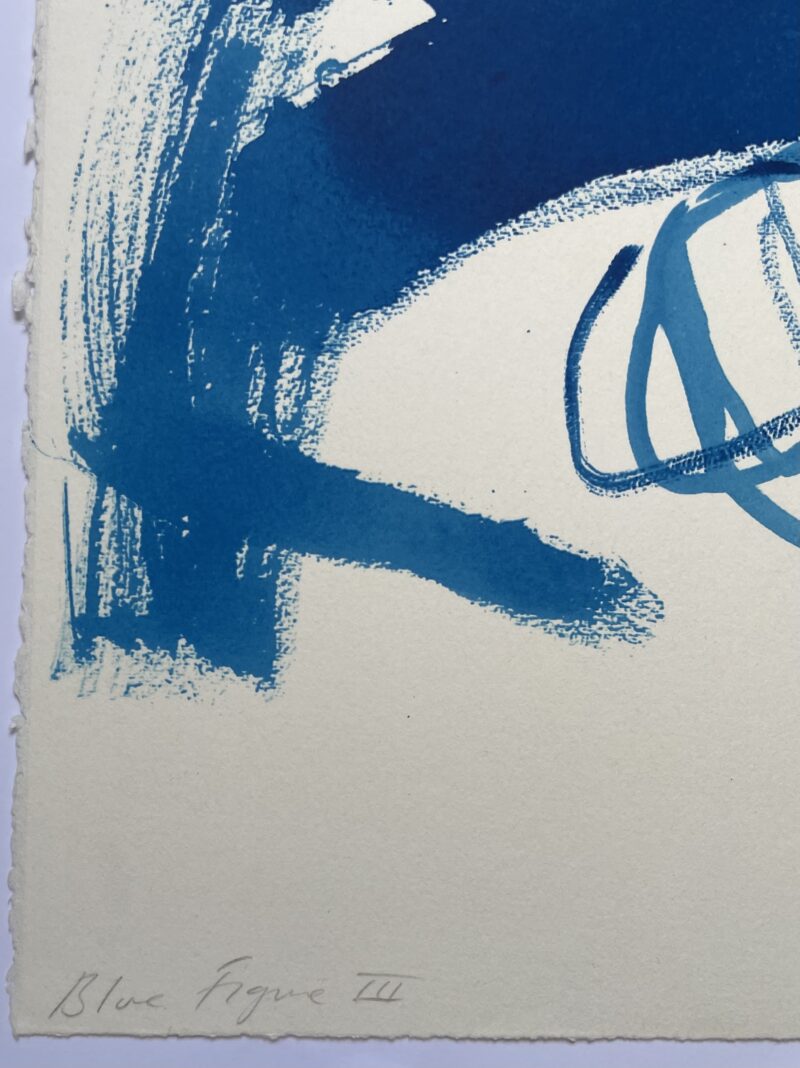 Emin Blue Fig3