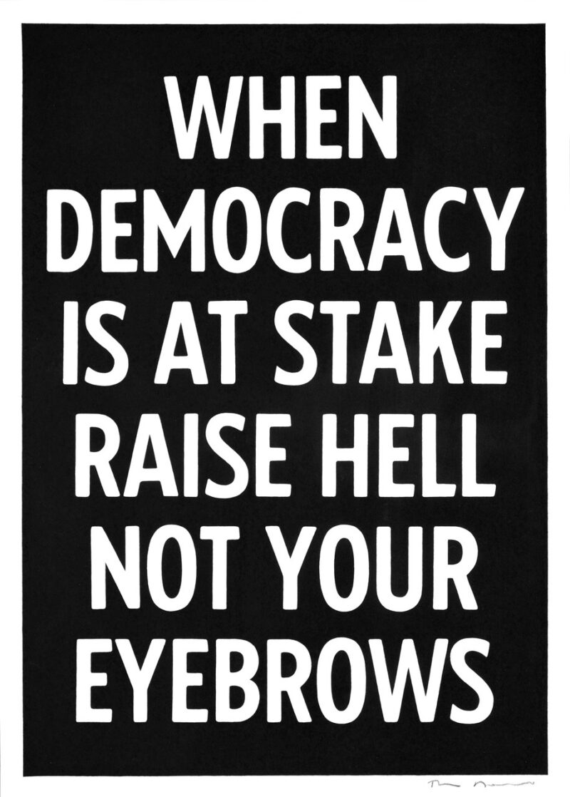 RAISE HELL NOT YOUR EYEBROWS
