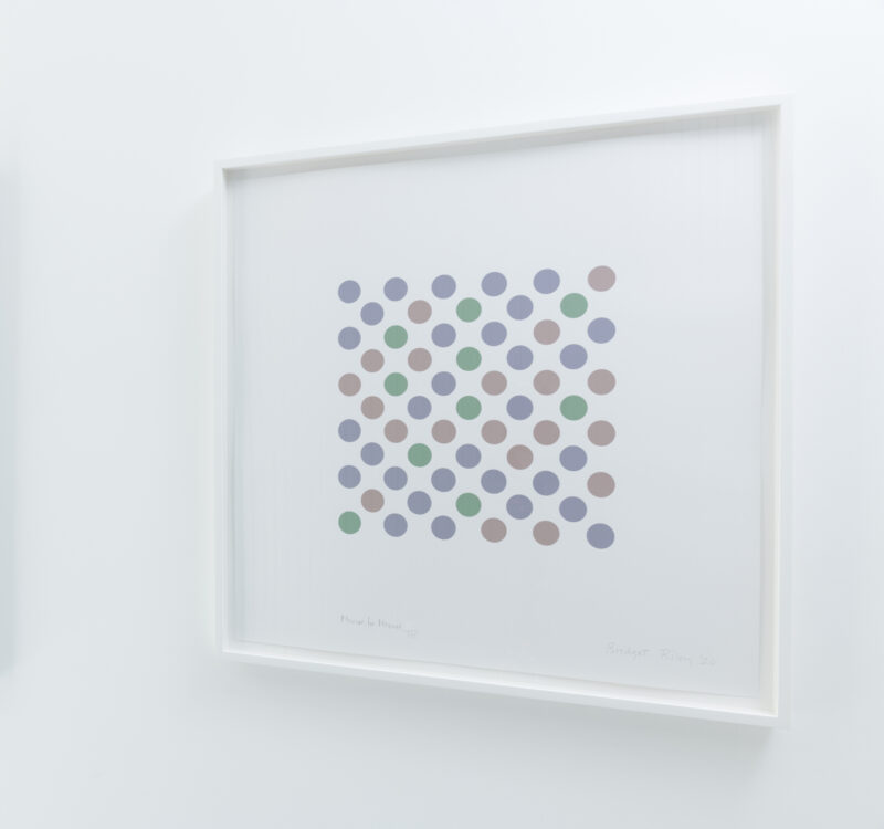 Bridget riley measure for measure framed