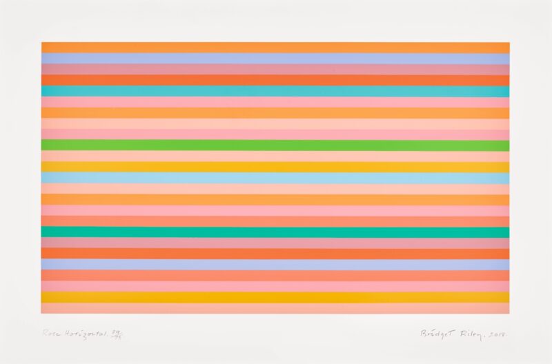 Bridget riley rose horizontal