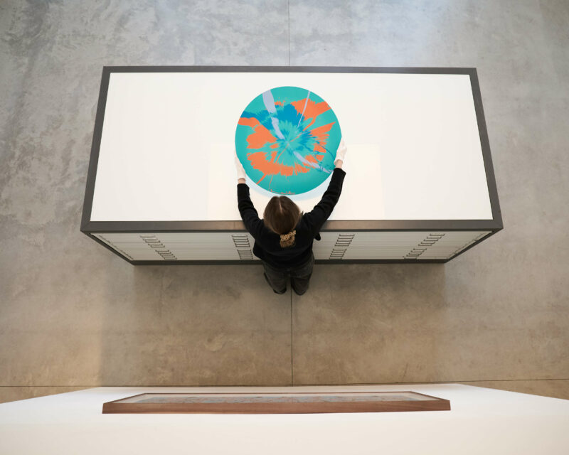 Damien hirst h12 2 beautiful sensory driven only supernova painting i